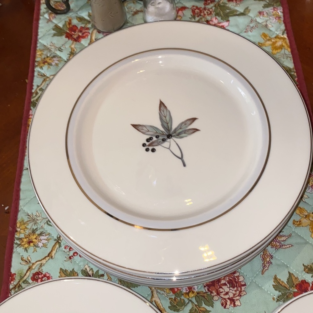 Castleton Fine China Glenwood Service for Four - 40 pc Set - Picture 6 of 10